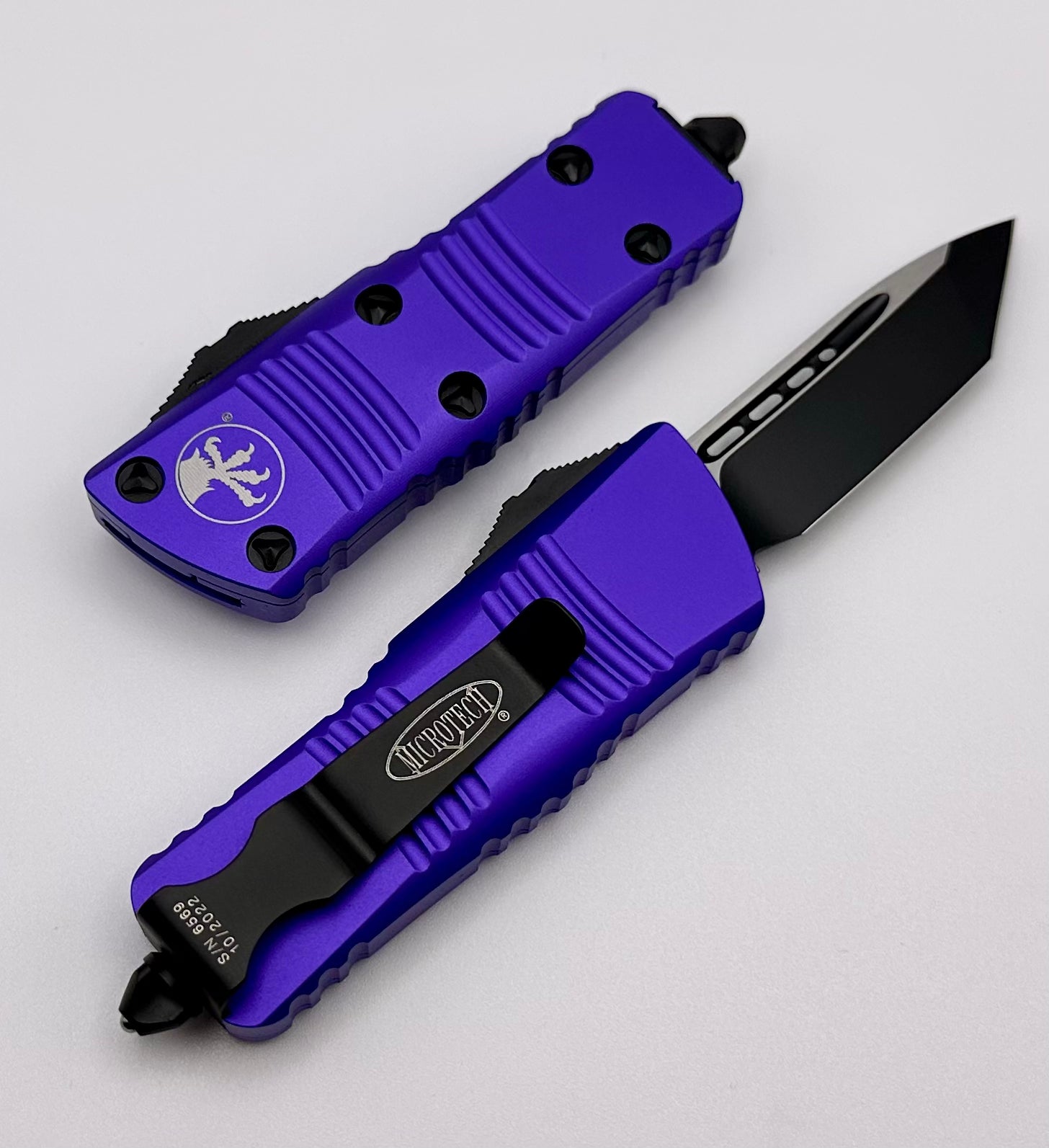 Microtech Troodon Mini Black Tanto & Purple 240-1PU