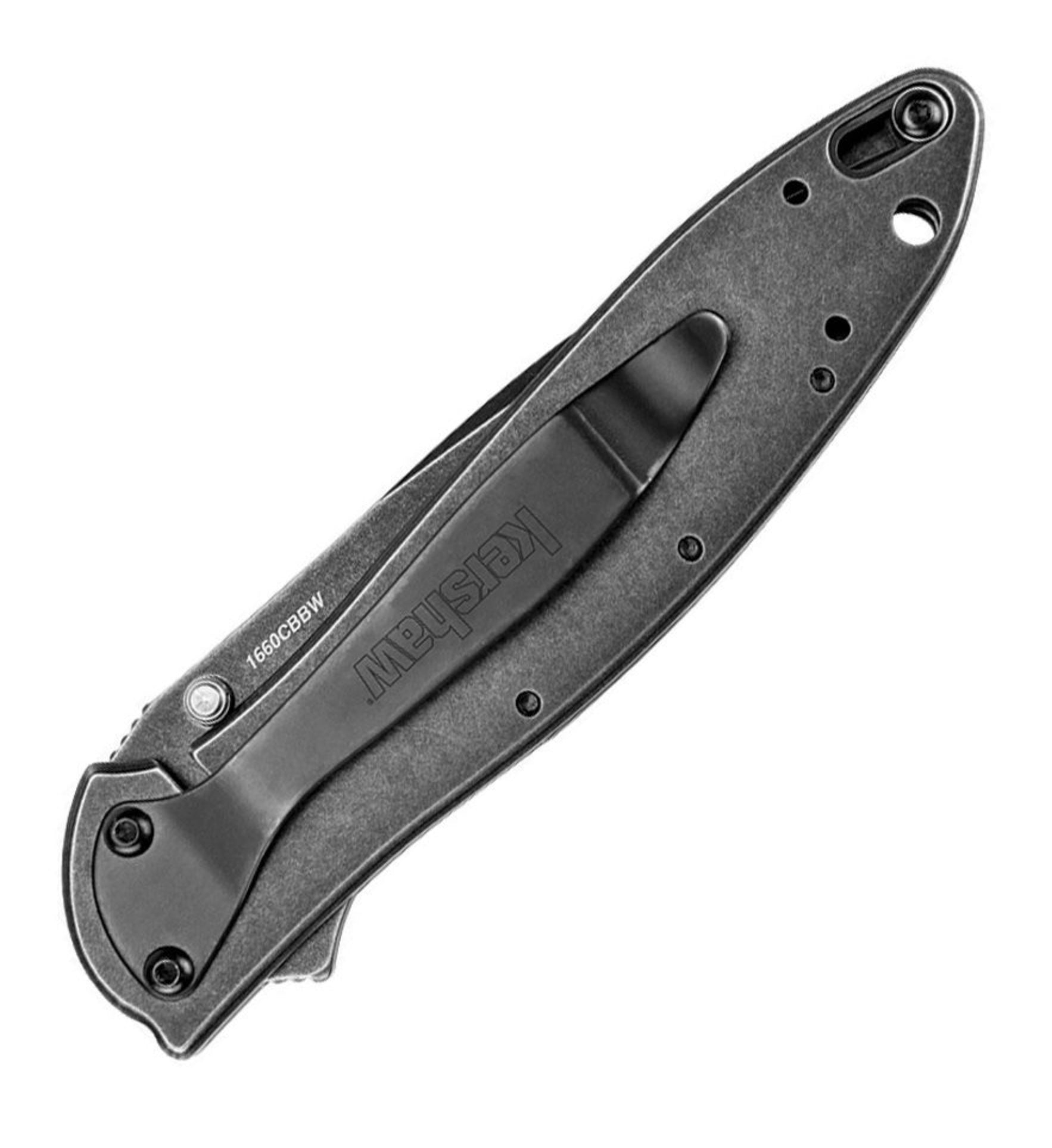 Kershaw Leek Flipper Composite Blade Blackwash 1660CBBW