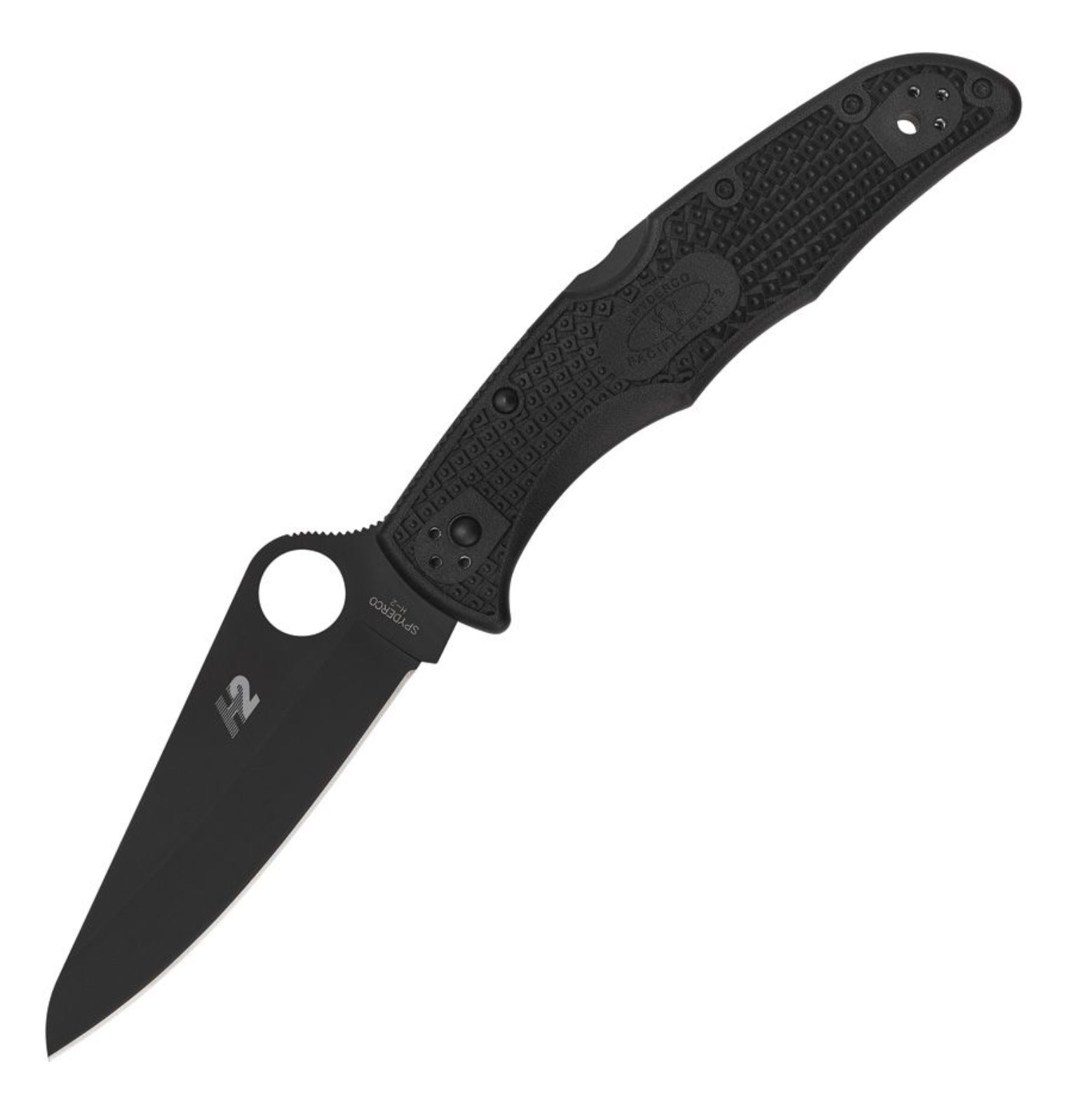 Spyderco Pacific Salt 2 Black FRN & H-1 C91PBBK2