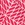 Snapper Rock Boys' Nautical Knots Red Volley Board Short (Toddler, Little Kid, Big Kid) Red