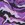 Sporti New Waves Brief Swimsuit Youth (22-28) Purple