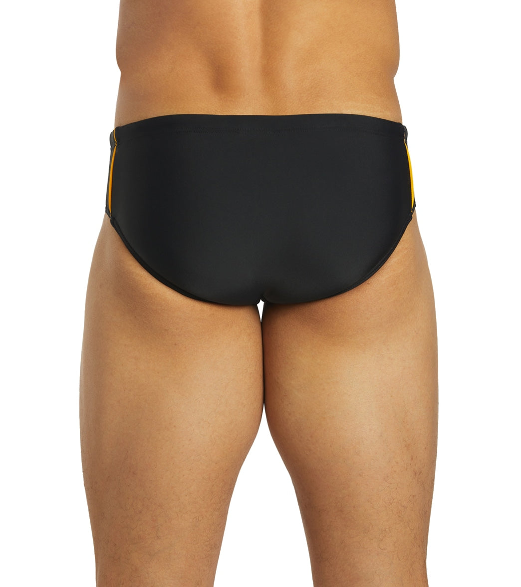 Sporti Piped Splice Brief Swimsuit (22-40) Black/Gold